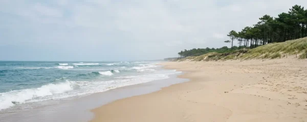 Vue panoramique plage Hossegor avec dunes et pinède en arrière-plan