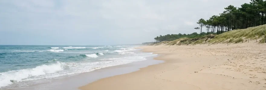 Vue panoramique plage Hossegor avec dunes et pinède en arrière-plan